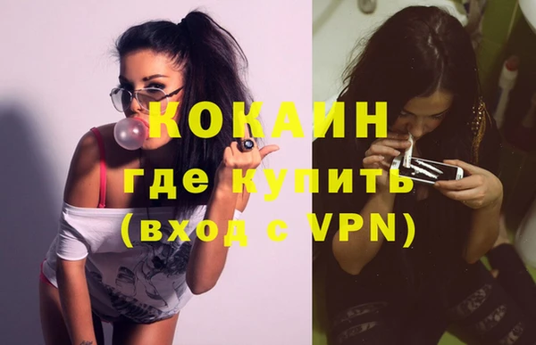твердый Алзамай