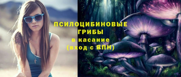 твердый Алзамай