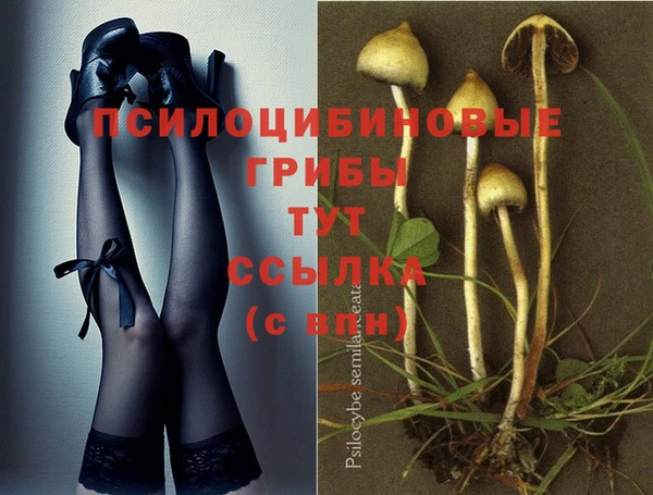 таблы Алексин