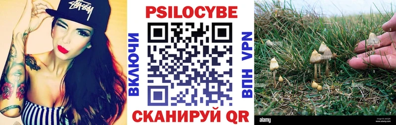 Псилоцибиновые грибы Psilocybe что такое Павловская